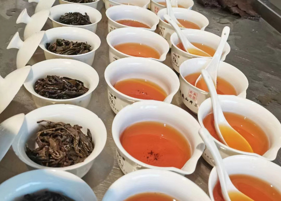 چای اوولونگ گرم یا سرد با عطر گل برای پیشنهادات