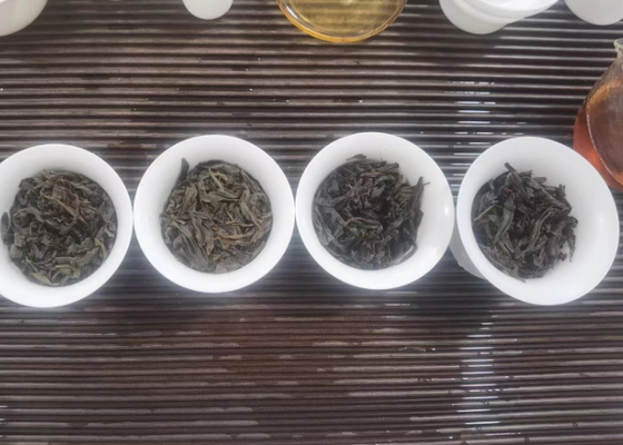 چای سیاه شان شیاچونگ ۸۰ گرم جعبه هدیه کنسرو شده چای وویی شان شیاچونگ کارخانه چای لیان یون عمده فروشی