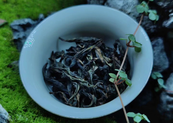 چای وویی راک