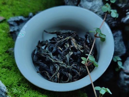 ۲۰۲۲ بهار چای تازه چای سیاه کوه ووئی چنگ شان گل های کوچک میوه دار چای وحشی کوهستان بلند تونگمو گوان سان